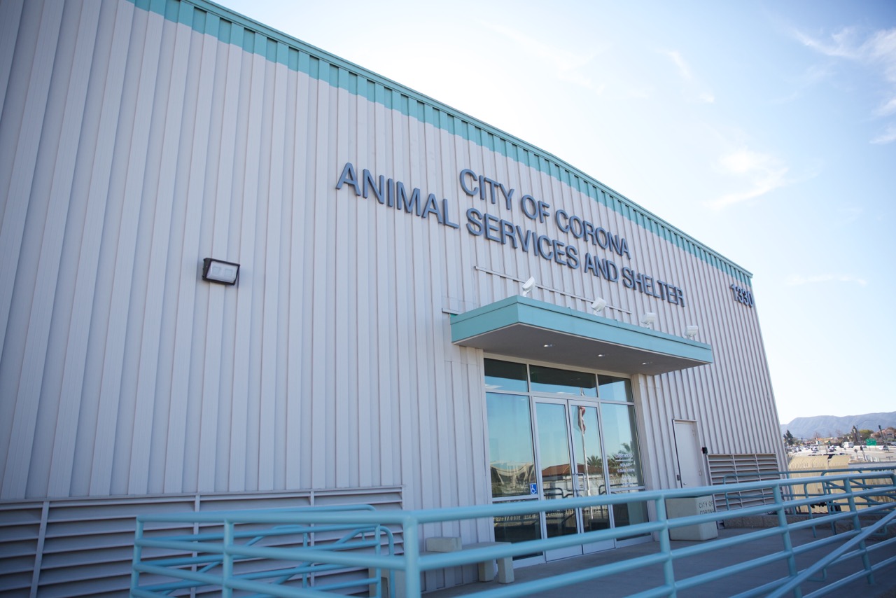 Corona Animal Shelter