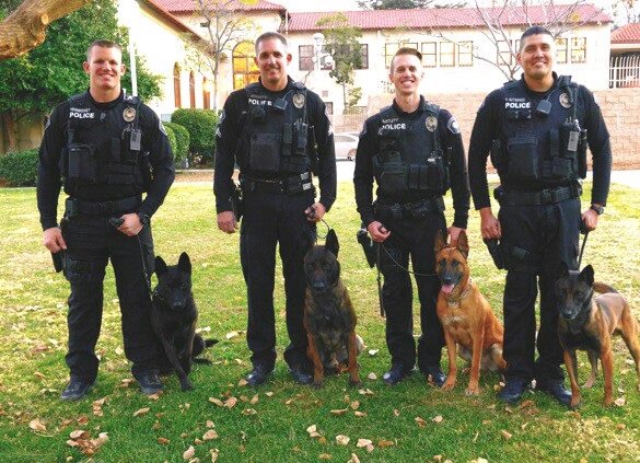k9 team